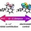 Reconciling electrostatic and n→π* orbital contributions in carbonyl interactions