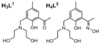 MnIII complex